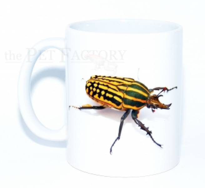 Kaffeebecher "Mecynorrhina savagei"